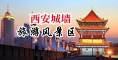 老外大鸡巴操中国美女留学生逼里面中国陕西-西安城墙旅游风景区