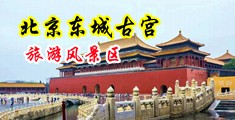 大屌美女中国北京-东城古宫旅游风景区
